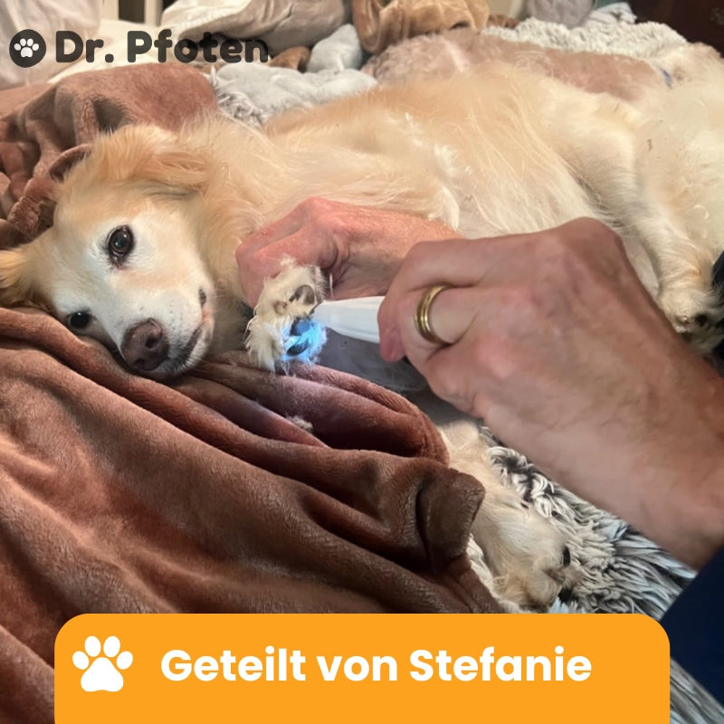 PawTrim Pro™ Deluxe Set - Frühlings Sale-Exklusiv