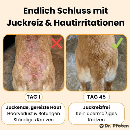 Juckreiz & Allergie Leckerlis (VIP)