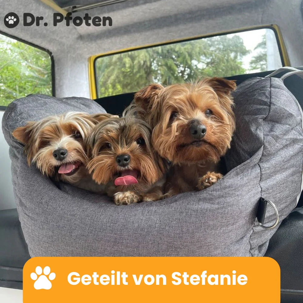 Autositz für Hunde – ErsteKlasse™ Premium Hundesitz
