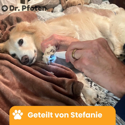 PawTrim Pro™ Deluxe Set - Frühlings Sale-Exklusiv