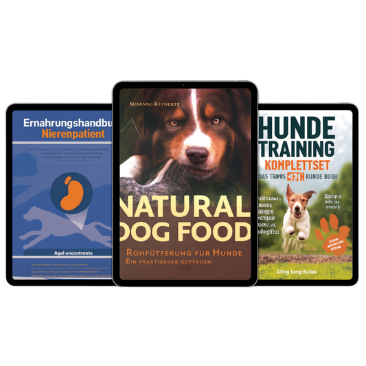 Der komplette Hunde-Guide: Richtig füttern, gesund halten, entspannt erziehen