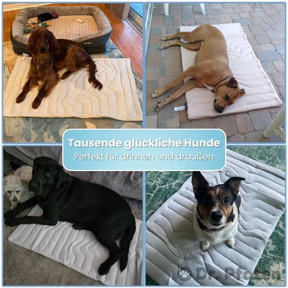 PfotenChill™ Deluxe Set - Die innovative Kühlmatte für Hunde